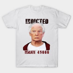 Indicted Inmate 45666 T-Shirt